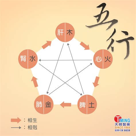 身體五行時間|中醫知識 